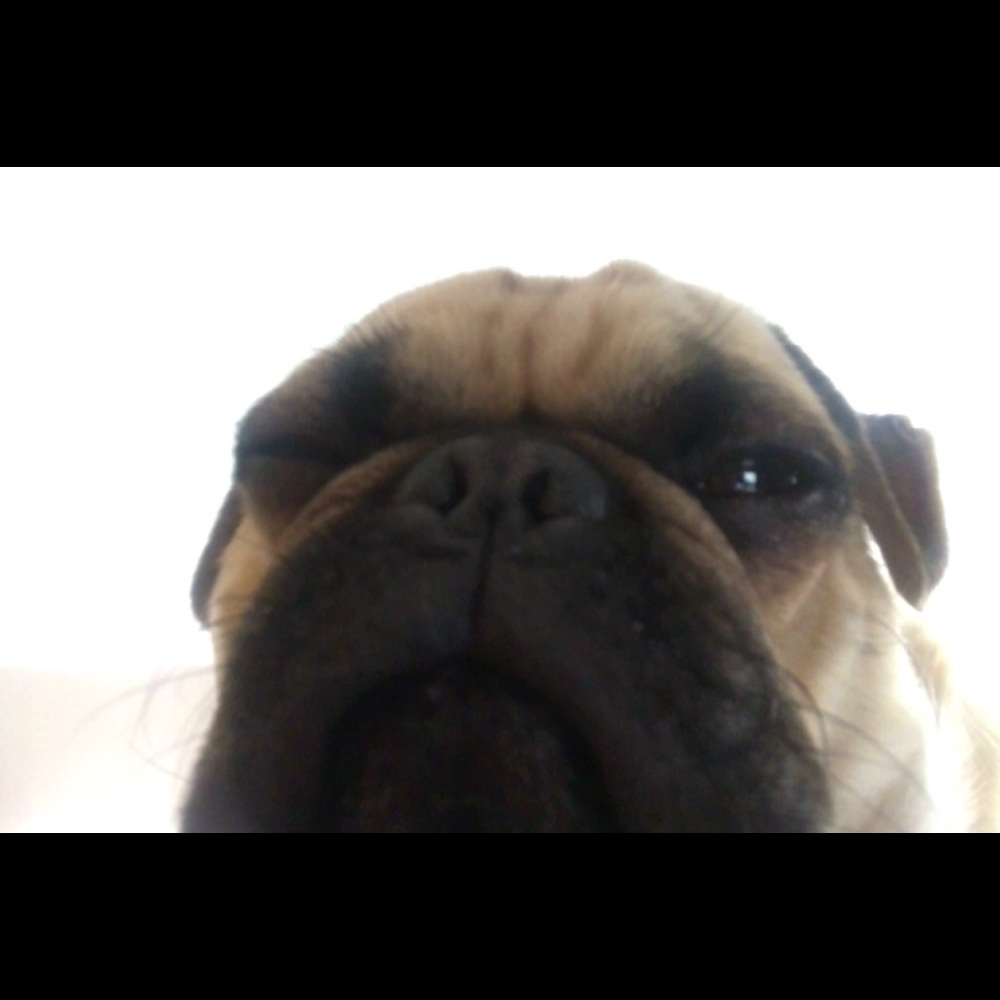 Meet your Posher, Elise